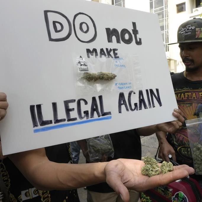 Thai marijuana boosters rally to keep drug decriminalized
